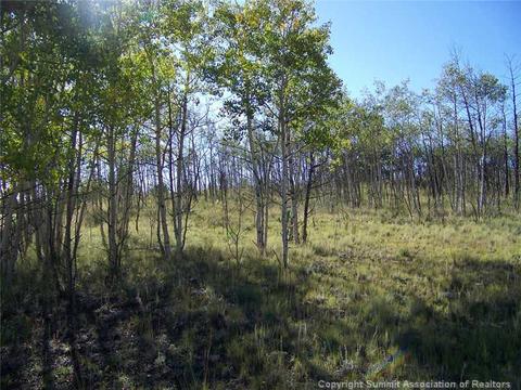 2932 Warrior Cir, Como, CO 80432 photo 5