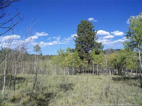 2932 Warrior Cir, Como, CO 80432 photo 3