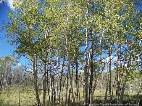 2932 Warrior Cir, Como, CO 80432 photo 8