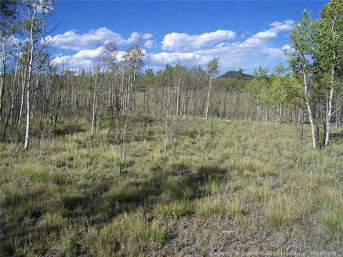 2932 Warrior Cir, Como, CO 80432 photo 1