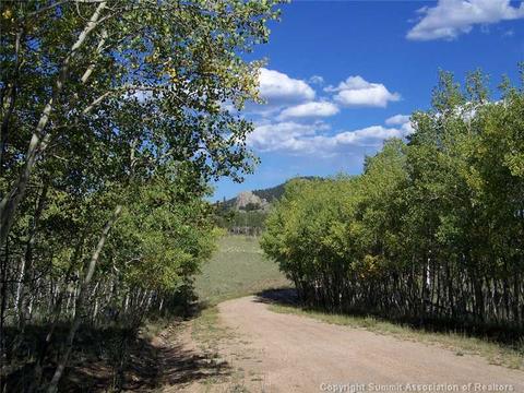 2932 Warrior Cir, Como, CO 80432 photo 2