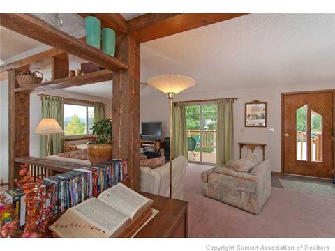 446 Willowbrook Rd, Silverthorne, CO 80498 photo 5