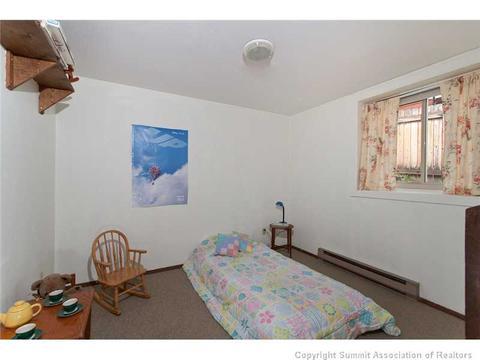 446 Willowbrook Rd, Silverthorne, CO 80498 photo 14
