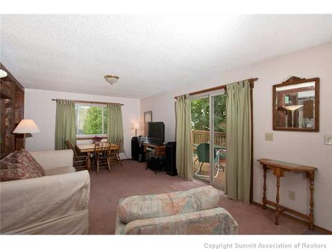 446 Willowbrook Rd, Silverthorne, CO 80498 photo 3