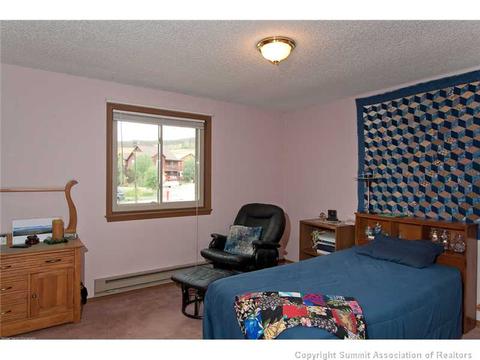 446 Willowbrook Rd, Silverthorne, CO 80498 photo 12
