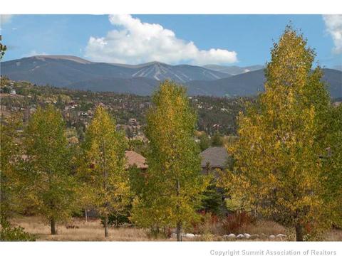 446 Willowbrook Rd, Silverthorne, CO 80498 photo 19