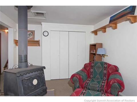 446 Willowbrook Rd, Silverthorne, CO 80498 photo 10