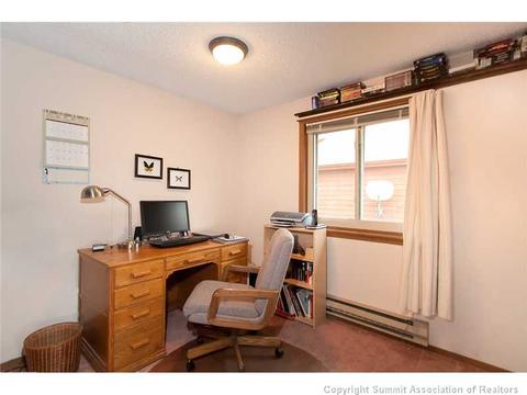 446 Willowbrook Rd, Silverthorne, CO 80498 photo 15