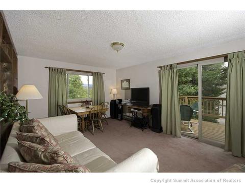 446 Willowbrook Rd, Silverthorne, CO 80498 photo 4