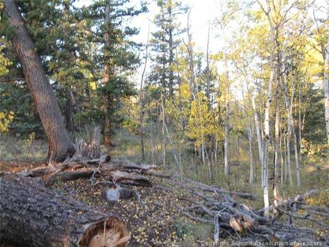 1281 Teton Trl, Como, CO 80432 photo 3