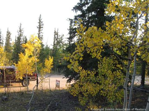 1281 Teton Trl, Como, CO 80432 photo 2