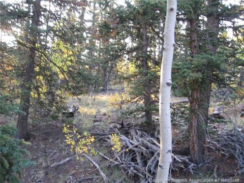 1281 Teton Trl, Como, CO 80432 photo 4