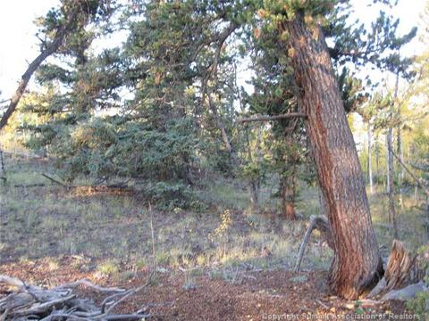 1281 Teton Trl, Como, CO 80432 photo 1