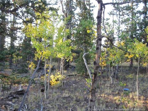 1281 Teton Trl, Como, CO 80432 photo 5
