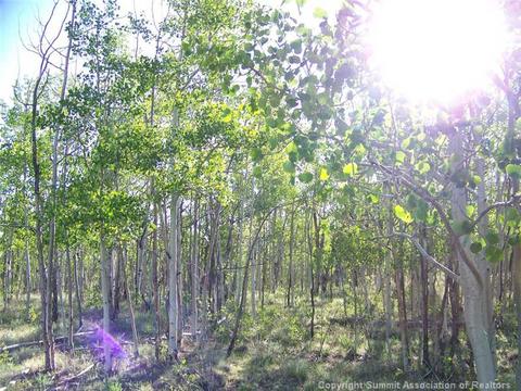 579 Old Squaw Rd, Como, CO 80432 photo 1
