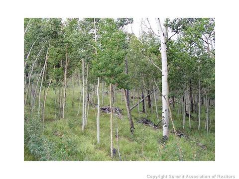579 Old Squaw Rd, Como, CO 80432 photo 3