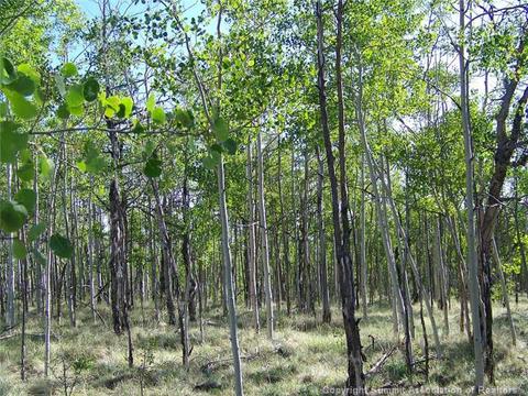 579 Old Squaw Rd, Como, CO 80432 photo 2