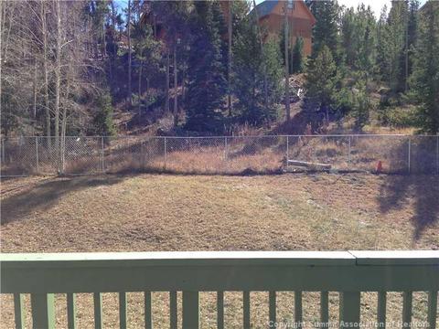 738 Deer Path Rd, Dillon, CO 80435 photo 6