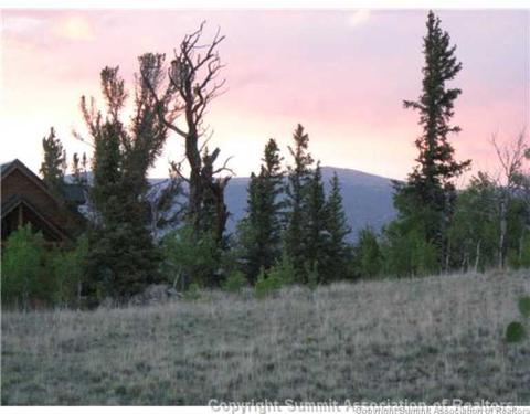 207 War Ln, Como, CO 80432 photo 12