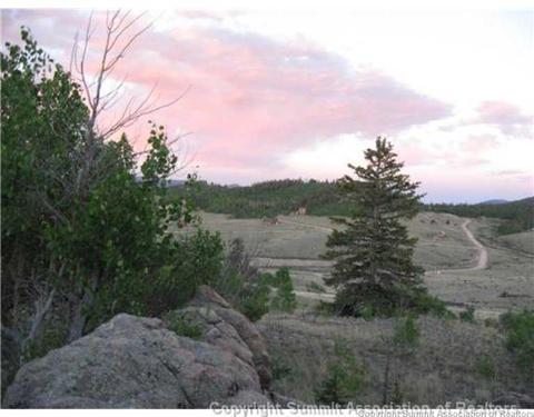 207 War Ln, Como, CO 80432 photo 5