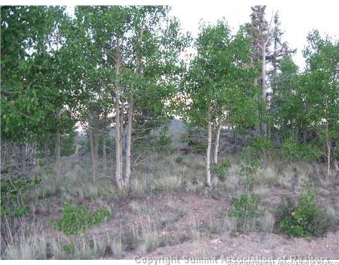 207 War Ln, Como, CO 80432 photo 1