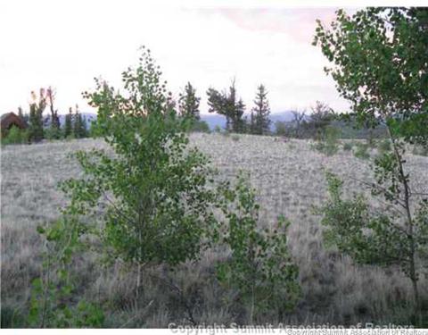 207 War Ln, Como, CO 80432 photo 8