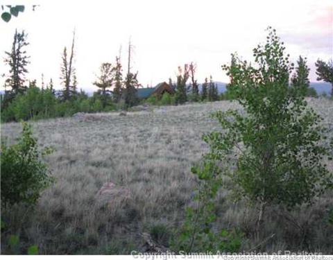 207 War Ln, Como, CO 80432 photo 9