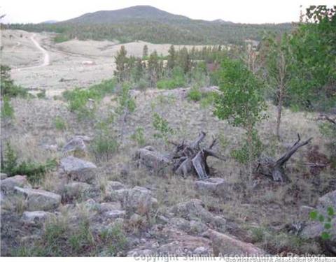 207 War Ln, Como, CO 80432 photo 7