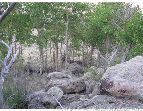 207 War Ln, Como, CO 80432 photo 6