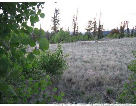207 War Ln, Como, CO 80432 photo 10