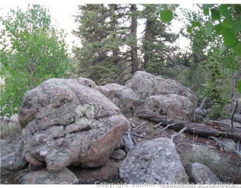 207 War Ln, Como, CO 80432 photo 2