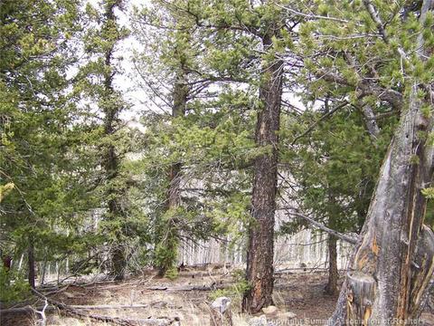185 Starling Way, Como, CO 80432 photo 1