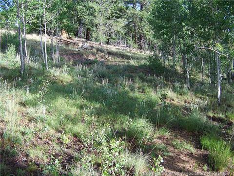 185 Starling Way, Como, CO 80432 photo 3