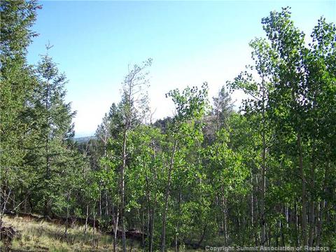185 Starling Way, Como, CO 80432 photo 2