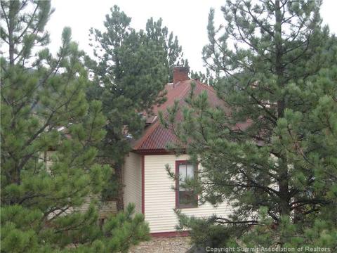 16874 7th St, Pine, CO 80470 photo 17