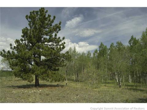 2992 Buffalo Ridge Rd, Como, CO 80432 photo 8