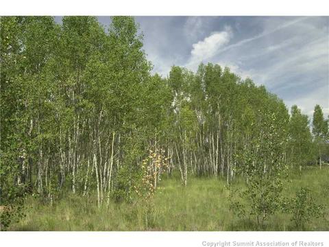 2992 Buffalo Ridge Rd, Como, CO 80432 photo 11