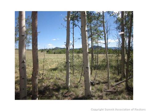 2992 Buffalo Ridge Rd, Como, CO 80432 photo 1