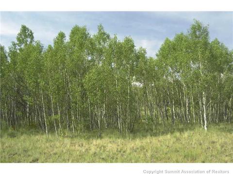 2992 Buffalo Ridge Rd, Como, CO 80432 photo 4