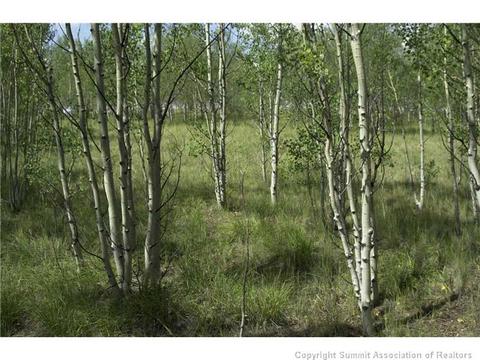 2992 Buffalo Ridge Rd, Como, CO 80432 photo 5