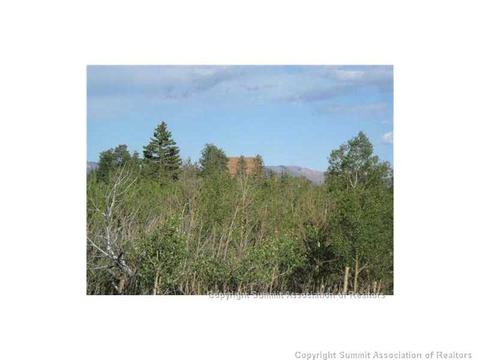 2992 Buffalo Ridge Rd, Como, CO 80432 photo 22