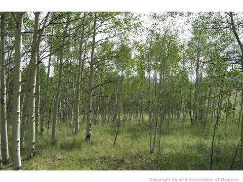2992 Buffalo Ridge Rd, Como, CO 80432 photo 10