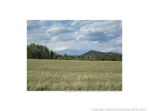 2992 Buffalo Ridge Rd, Como, CO 80432 photo 23