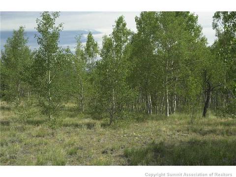 2992 Buffalo Ridge Rd, Como, CO 80432 photo 7