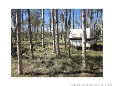 2992 Buffalo Ridge Rd, Como, CO 80432 photo 17