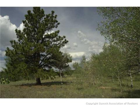 2992 Buffalo Ridge Rd, Como, CO 80432 photo 9