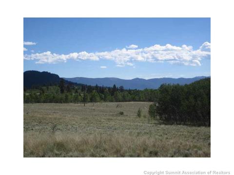 2992 Buffalo Ridge Rd, Como, CO 80432 photo 2
