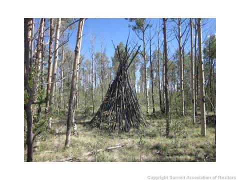 2992 Buffalo Ridge Rd, Como, CO 80432 photo 15