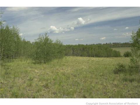 2992 Buffalo Ridge Rd, Como, CO 80432 photo 6
