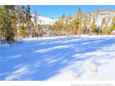 99 Forest Canyon Rd, Dillon, CO 80435 photo 2